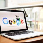 Algoritmo Google Panda, Qué es y Cómo Funciona